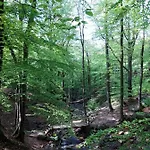 D'hôtes De La Vecquée Stoumont