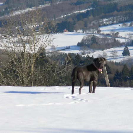 D'hotes De La Vecquee Stoumont