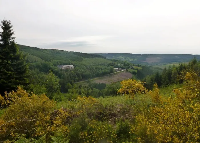 D'hotes De La Vecquee Nocleg ze śniadaniem Stoumont