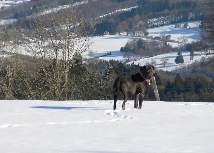 D'hotes De La Vecquee Stoumont