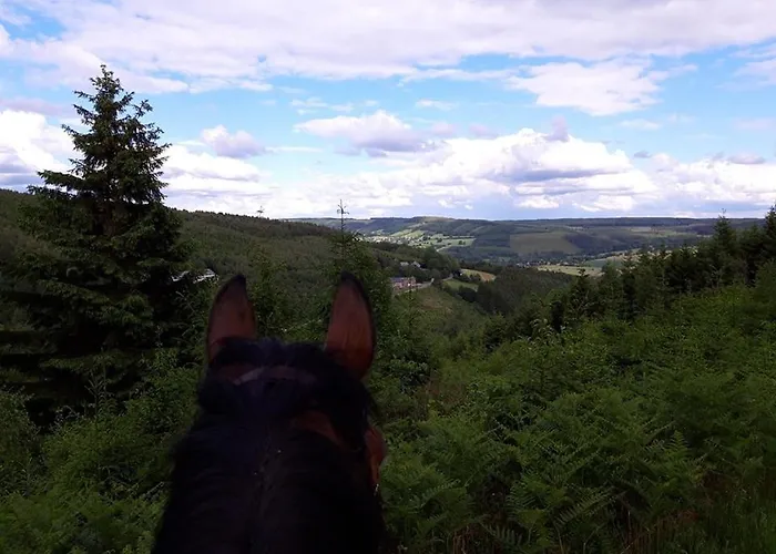 D'hotes De La Vecquee