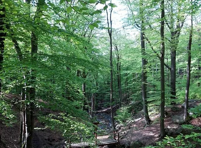 D'hotes De La Vecquee Stoumont