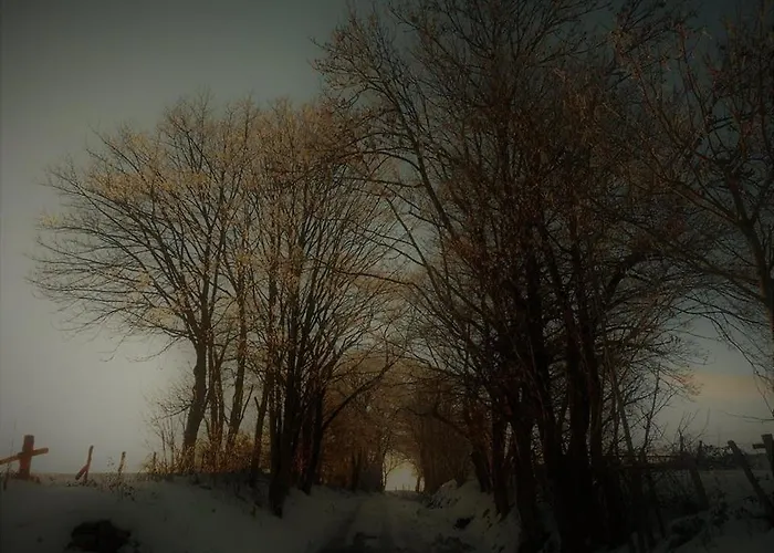 D'hotes De La Vecquee 4* Stoumont